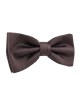 Bugatti Bow tie 50251-6101/730