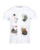 Paul Miranda T-shirt ME1050/BIANCO