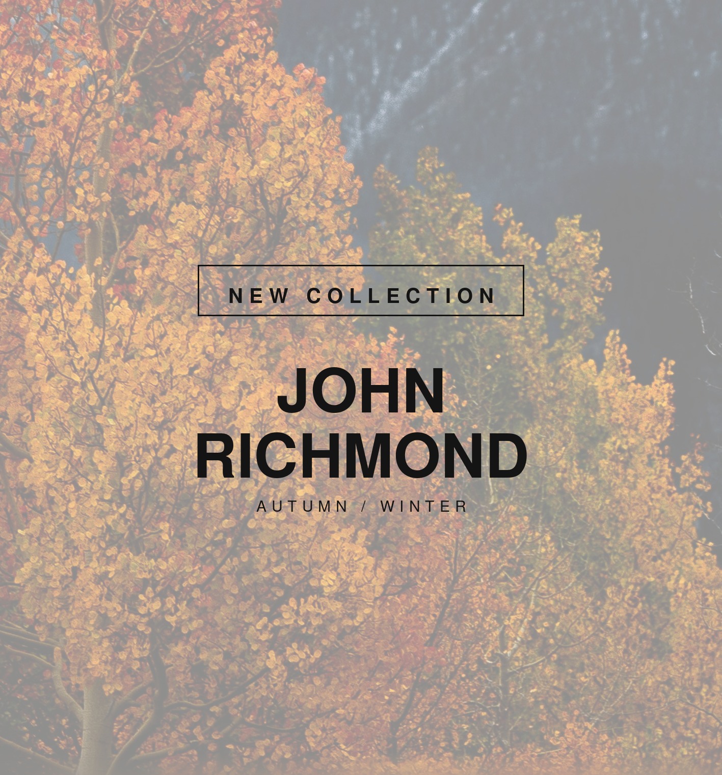 John Richmond