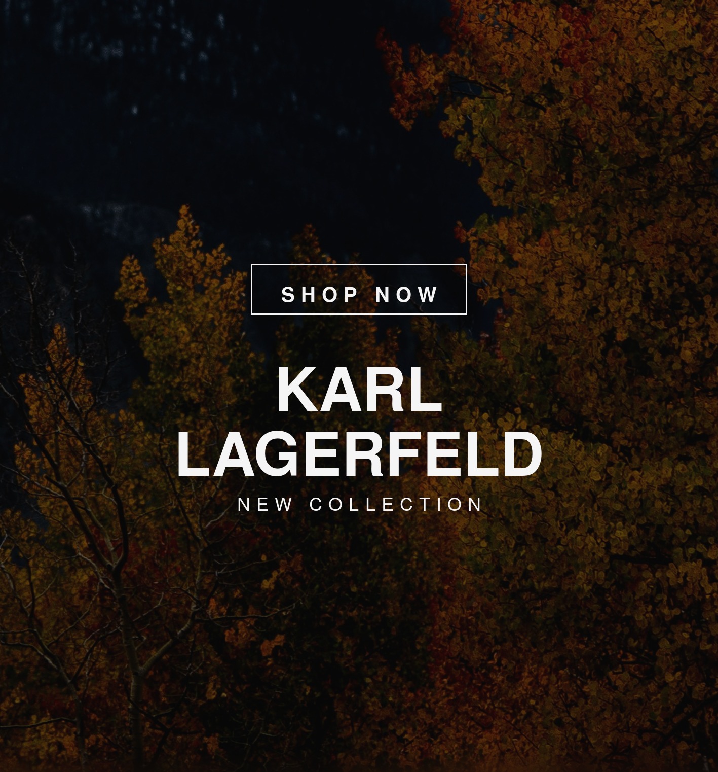 Karl Lagerfeld